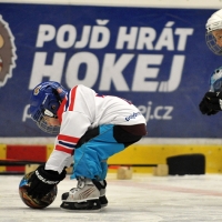 13pojd-hrat-hokej13.JPG